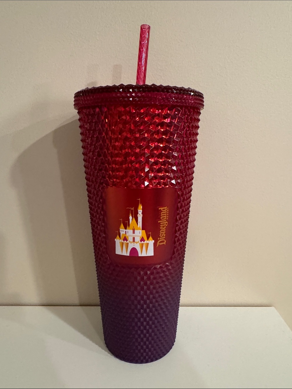 Starbucks Disneyland Tumbler Cup